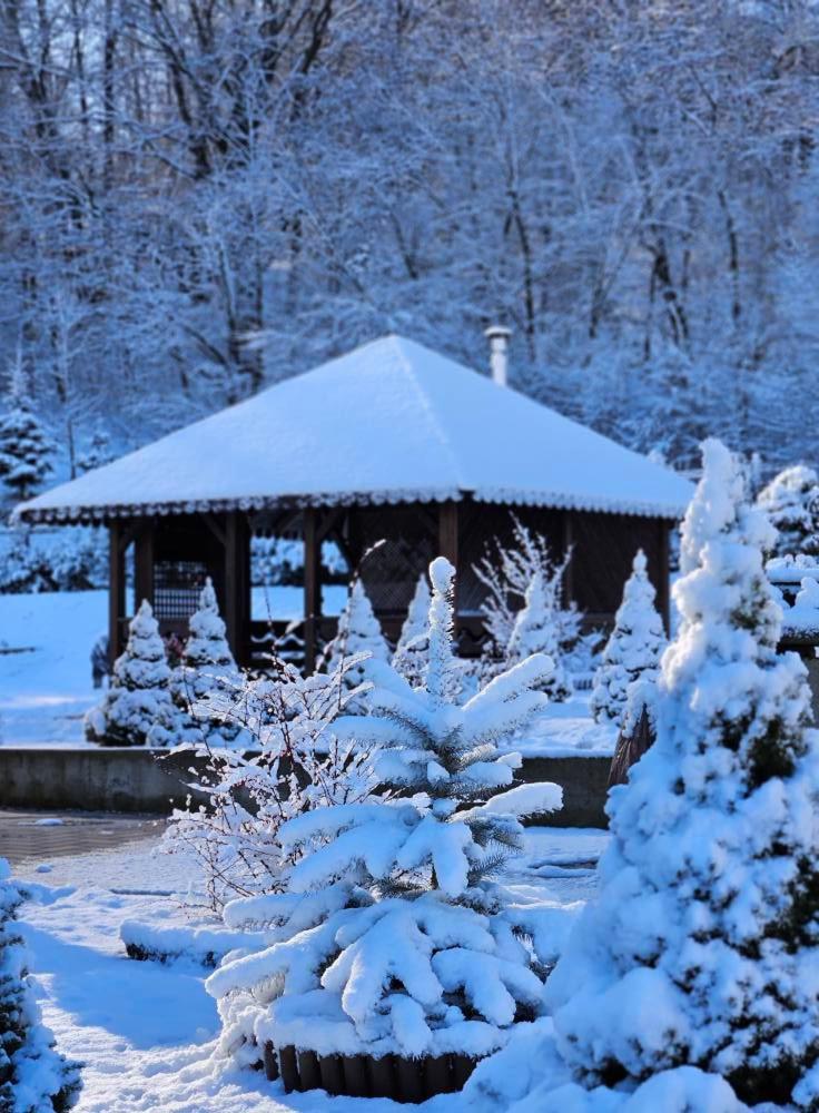 Pensiunea Izvorul Linistii Radaseni Exterior foto