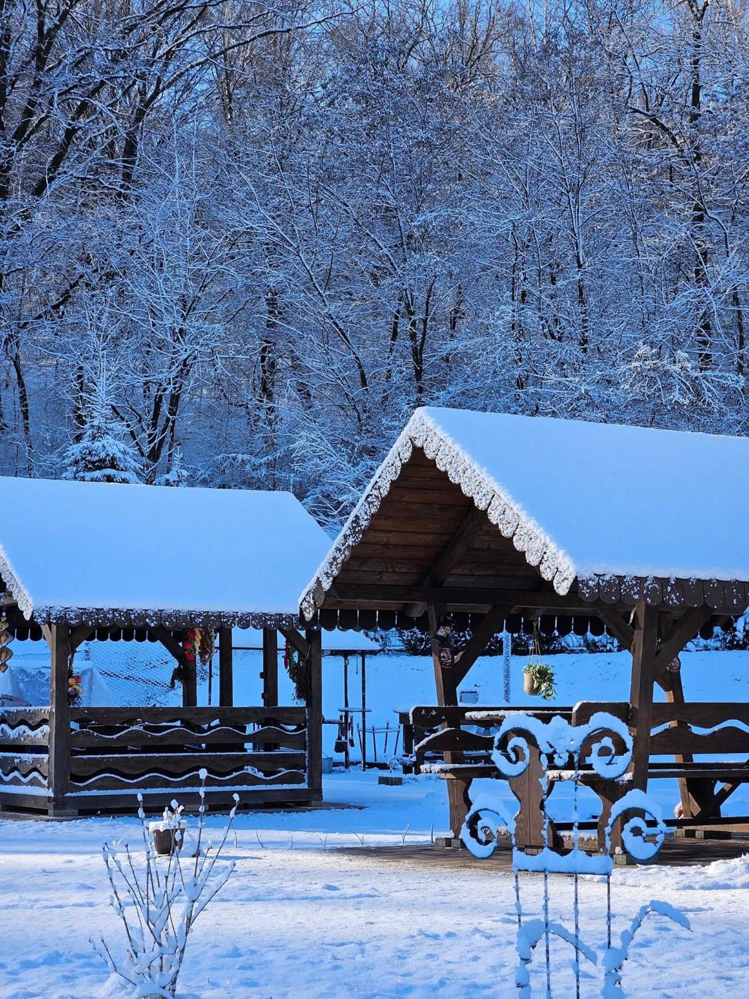 Pensiunea Izvorul Linistii Radaseni Exterior foto